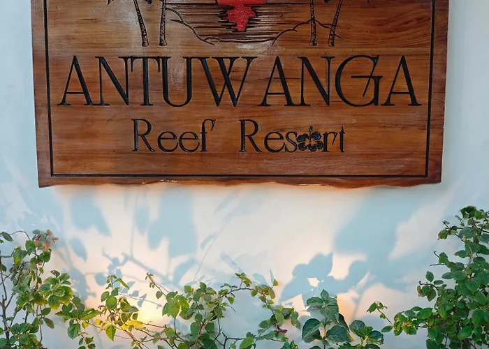 호텔 Antuwanga Reef 몰볼